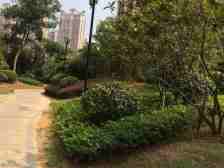 红谷滩精装小三房诚售