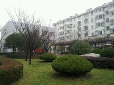 金桥·伟莱家园·4室·3厅