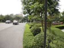 电梯房,住家方便,交通便利,采光好