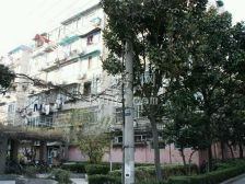 巴林小区 2室1厅 南