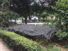 弹子石国际社区这套房装修很不错