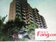 无抵押 电梯房,热销好房