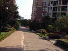 蓝溪谷地洋房 一楼带80平私家花园 业主诚心出售