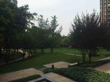 大竹林 龙湖江与城千山万树四房145万