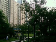 中义阿卡迪亚 交通便利 小区绿化高 南向采光好 近医院