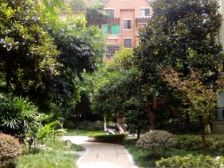 天星桥 蓝溪谷地三房125万