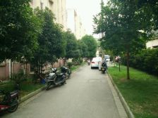 新上 苏苑·苏苑新村北区 3室1厅 诚心卖 看房方便带独库稀