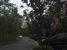 品质小区, 环境优美 ,交通便利, 户型方正, 采光好