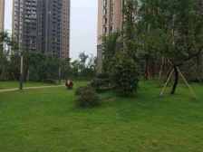 精装两房,户型方正,看房提前联系。