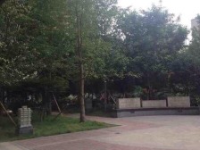 大坪 英利国际广场一房69.9万