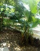 板式通透格局,环境舒适,楼层好,有一层屋顶花园。