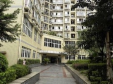 模范村 旭东家天下三房53万