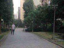 西区 聚义香城故事三房100万