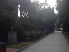 西区 聚义香城故事三房116万