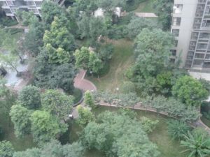 万科金色领域3室1厅东西