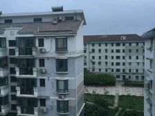 新上!!宝藏房,中高层,向上一层看风景,向下一步是便捷