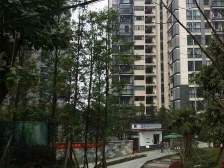 采光通透,优质户型,交通便利,出行方便