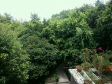 南坪轻轨装修醉好的精装上个档次三房户型