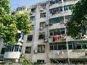 蓝天新村 1室1厅 南 北
