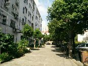 蓝天新村3室1厅南北