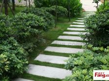 鸳鸯 复地新城就四房176万