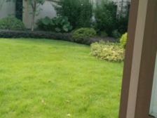 融汇温泉城圣地亚南区 1室1厅 北