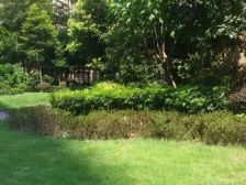 保利心语花园 3室2厅 南