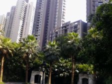 一线江景房 户型方正 视野开阔 骏逸江岸 业主诚售