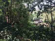 恒大华府 4室2厅 东南