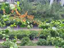 冉家坝 劲力五星城(一期)四房178万