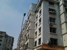 绿波小区 2室2厅 东 西