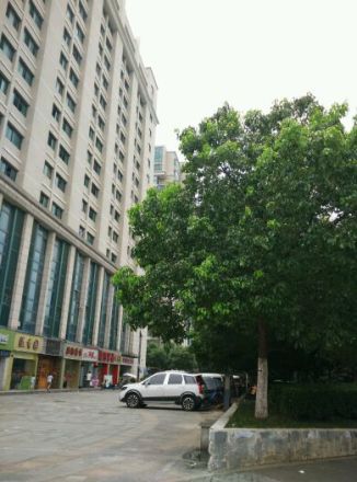 香樟园