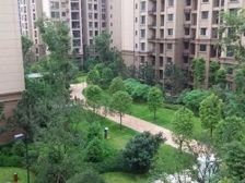 金科廊桥水乡四组团 5室2厅 南