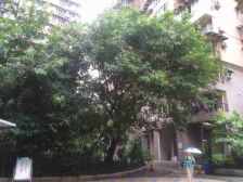 三峡广场 创豪天泽苑四房153万