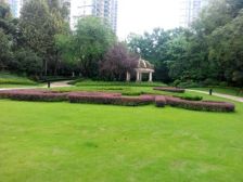 经开区 雅居乐国际花园三房188万