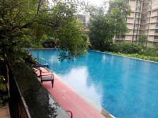 品质洋房,精装修 采光视野好