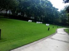 品质楼盘雅居乐,精装修,轻轨就在门口,拎包入住。