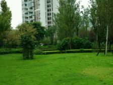 江北区府旁 精装大两房 双轻轨 安心卖 全屋智能家电