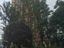 中梁山轻轨站 精装3房 配套齐全 拎包入住 诚心出售!