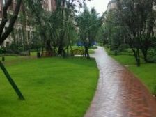 龙湖U城观蓝 3室2厅 南 北