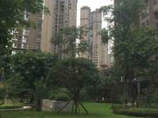 鸳鸯 复地新城就三房118万