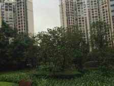 汽博中心 爱加西西里三房255万