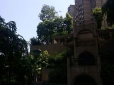 央企保利正规两房 朝南 户型方正