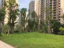 业主急售,精装不临街,出行方便,配套成熟