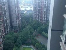 巴国公馆 2室2厅 东南