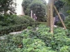 巴国城后门 巴国公馆精装三房诚心出售