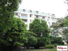 星丰苑 2室2厅1卫 南