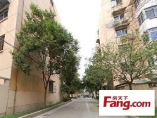 莘庄·黎安四村·新上双南两房位置好楼层好采光好看房方便