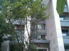 南桥寺 保利香雪三房91万