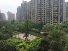无抵押 产权清晰,电梯房,必看好房